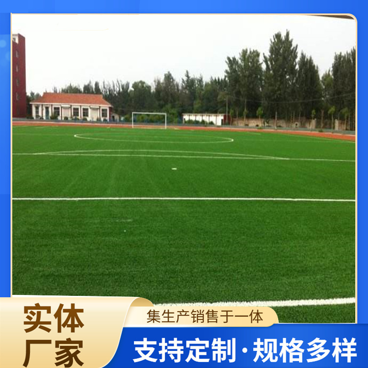 安康市学校塑胶跑道人造草坪 - 厂家